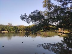 -江心屿景区
