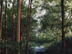 -杭州西湖风景名胜区-章太炎纪念馆