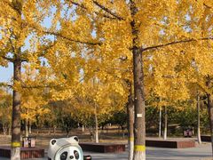 -永定河休闲森林公园