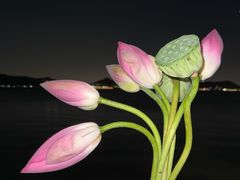 -东钱湖旅游度假区