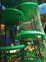 -恐龙探索乐园(磁器口店)