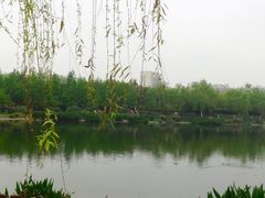 -琴亭湖公园