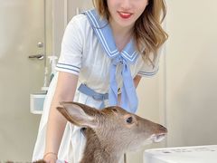 -怪兽屋·羊驼·猫咖·狗咖(俊华广场店)