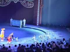 -珠海横琴长隆《卡卡虎奇遇记》