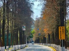 -南沙天后宫景区