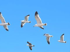 -大连海昌东方水城