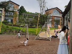 -铁山坪森林公园