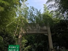 -紫金山索道-售票处