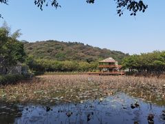 -李小龙乐园(顺德均安店)