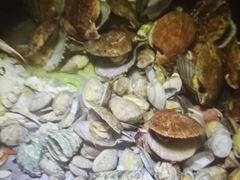 -船梆煮•蒸汽海鲜·生腌干蒸(五四广场店)