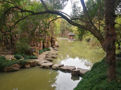 -水绘园