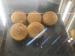 -翠华餐厅(东门店)