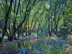 -上海共青森林公园