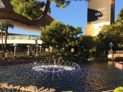 -拉斯维加斯永利酒店