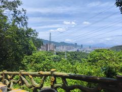 -梧桐山风景名胜区