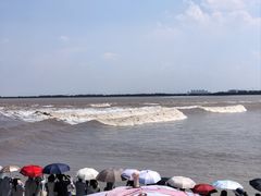 -观潮胜地公园