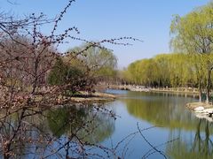 -大兴滨河森林公园