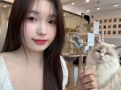 -有喵·猫咖·狗咖·30几只猫10只小狗(岗厦店)