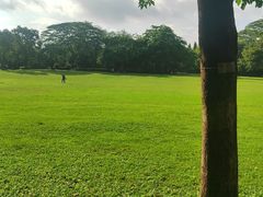 -荔香公园