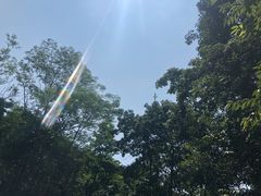 -火炉山森林公园