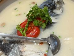 -全乐鱼馆·淳牌有机鱼直营店