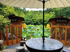 -绿茶餐厅(龙井船宴· 品牌总店)