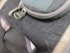 -芭比堂动物医院(广州爱宠下渡路分院)