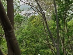 -第一山景区