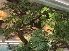 -绿茶餐厅(广州天河城店)