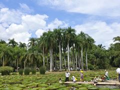 -中国科学院西双版纳热带植物园