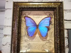 -旅马餐厅(茅家埠店)