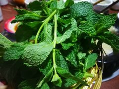 薄荷-80红枣鸡腊排骨(总店)