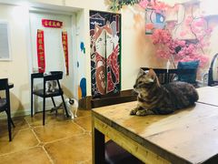 -李小姐の猫咖啡馆(五角场店)