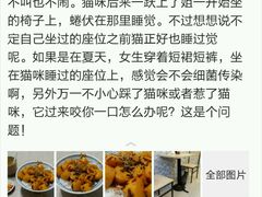 android_upload_pic-盛京一禾