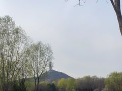 -北坞公园