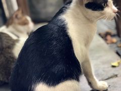 -旧雨咖啡·CoffeeFORU(黄村奥体店)