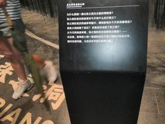 -张之洞与武汉博物馆