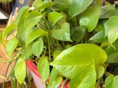 -湘水滨·臭鳜鱼·湘菜(马驹桥店)