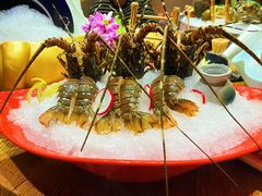 -尚海豆捞(乐虹坊店)