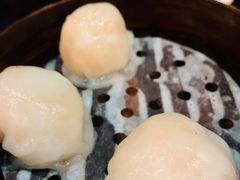 添运来虾饺皇-添运来(茶园奥园广场店)