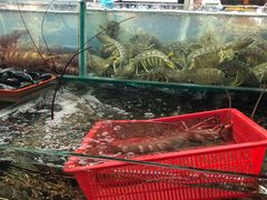 -班赞海鲜市场