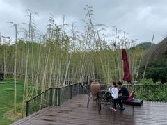 -莫干山郡安里度假酒店-桃尖中餐厅