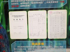 -龙达温泉生态城