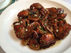 -老洋房花园饭店(绍兴路店)