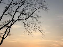-东湖磨山景区