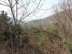 android_upload_pic-童牛岭风景区