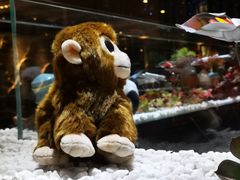 -红辣椒·川菜·火锅(张杨路店)