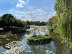 -东台西溪天仙缘景区