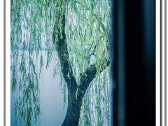 -柳莺湖上·湖景餐厅·江南菜(西湖店)