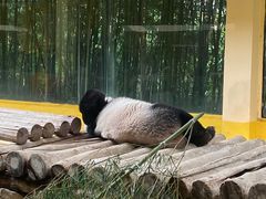 -杭州野生动物世界